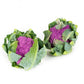 Cavolfiore Viola LAVENDER F1 – 2.500 semi