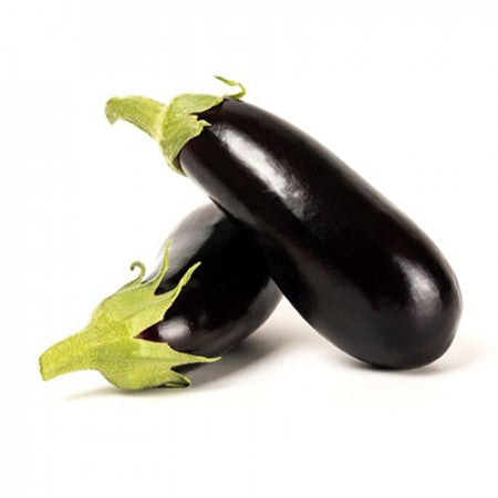 Aubergine SALLY F1 Saatgut – 1.000 Samen