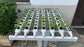 Jardin horizontal 60 plantes – pack