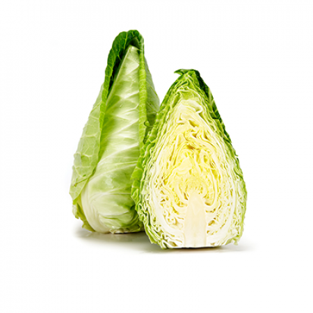 Spitzkohl LINCMA F1 Saatgut – 2.500 Samen