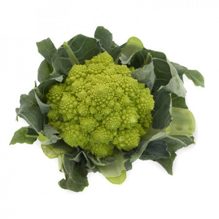 Blumenkohl PUNTOVERDE F1 Saatgut – 2.500 Samen