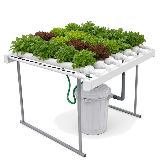 Horizontal Garden - 60 plants