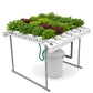 Horizontal Garden - 60 plants