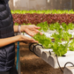 eBook: Hydroponics for Professionals