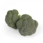 Broccolo LARSSON – 5.000 semi