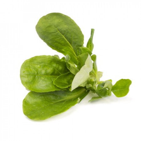Lamb’s Lettuce PULSAR Seeds – 25,000 seeds