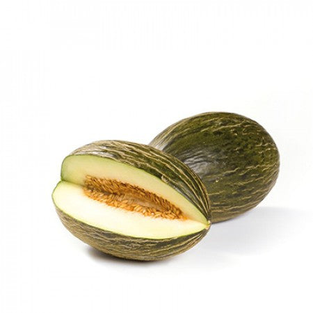 Melon GALACTUS F1 Seeds – 1,000 seeds