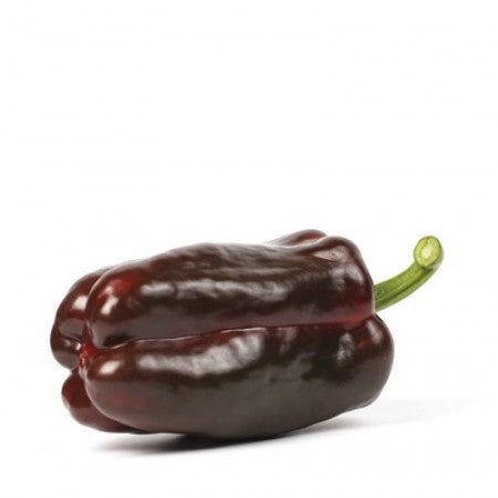 Sweet Pepper CRUCERO F1 Seeds – 1,000 seeds
