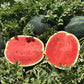 Watermelon LUSITANA F1 Seeds – 1,000 seeds