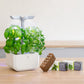 Mini Urban Garden - White Smart Edition