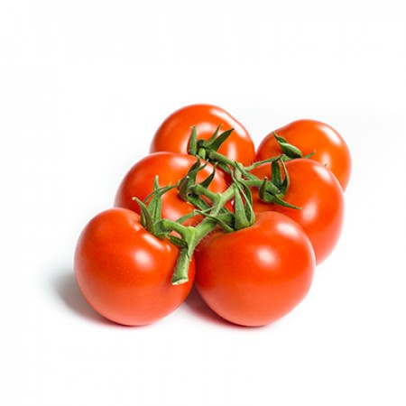 Tomate REALSOL F1 Saatgut – 1.000 Samen