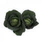 Savoy Cabbage MADLENE F1 Seeds – 2,500 seeds