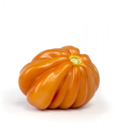 Oxheart Tomato RUGANTINO F1 Seeds – 1,000 seeds