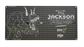 The Jackson Nemesis 200 W