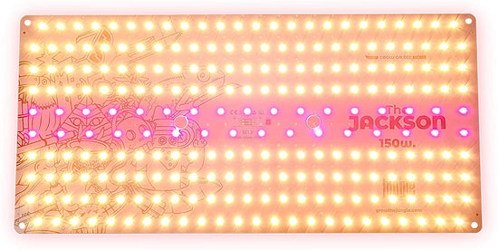 The Jackson 150 W