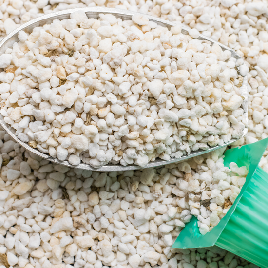 Perlite – 500 g