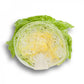 Laitue Iceberg SALMARINAS – 5 000 graines
