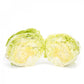 Laitue Iceberg QUINCENAS – 5 000 graines