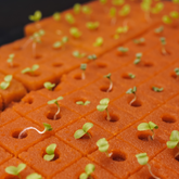 Phenolic foam plate 2 × 2 × 2.4 cm (225 plugs)