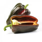 Sweet Pepper CRUCERO F1 Seeds – 1,000 seeds