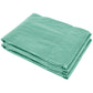 Bâche de serre PE anti-UV 3 × 2 × 2 m – vert