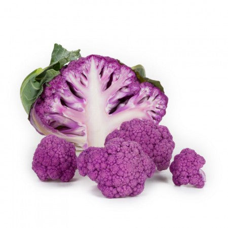 Violetter Blumenkohl LAVENDER F1 Saatgut – 2.500 Samen