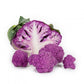 Cavolfiore Viola LAVENDER F1 – 2.500 semi