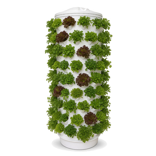 Aponix Garden - 120 plants