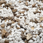 Perlite – 500 g