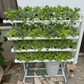Vertical Mobile Garden 70 Plants – Bundle Pack