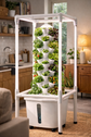 Mini-tour hydroponique avec led – 30 plantes
