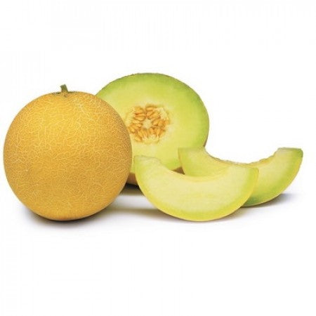 Melon ALPES F1 Seeds – 1,000 seeds