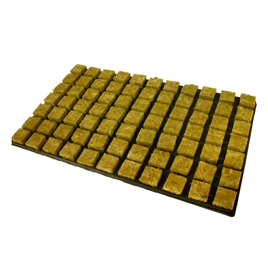 Vassoio cubetti di lana di roccia 4,0 × 3,5 × 3,5 cm (77 pz)