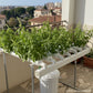 Jardin horizontal 60 plantes – pack