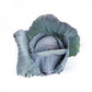 Red Cabbage REDMA F1 Seeds – 2,500 seeds