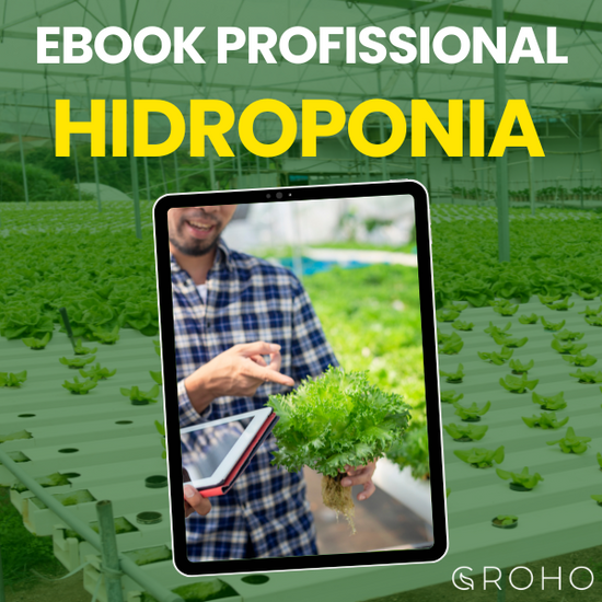 eBook: Hydroponics for Professionals