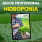 eBook: Hydroponics for Professionals