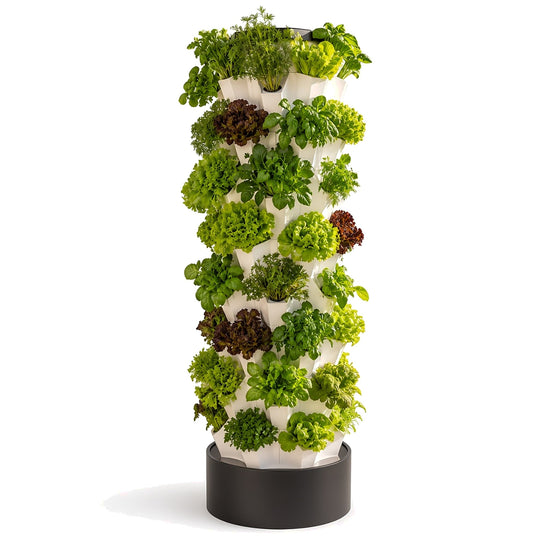 Hydroponic Tower – 80 Plants