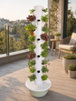 Hydroponic Tower – 36 Plants