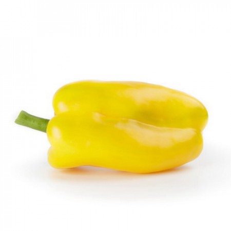 Paprika PLINIO F1 Saatgut – 1.000 Samen