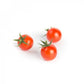 Pomodoro Ciliegino MIRANTE F1 – 1.000 semi