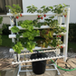 Vertical Mobile Garden 70 Plants – Bundle Pack