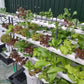 Vertical Mobile Garden - 160 plants