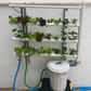 Vertical Mobile Garden - 40 plants
