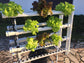 Vertical Mobile Garden - 70 plants