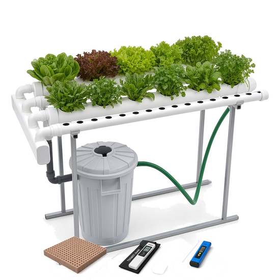 Horizontal Garden 40 Plants – Bundle Pack